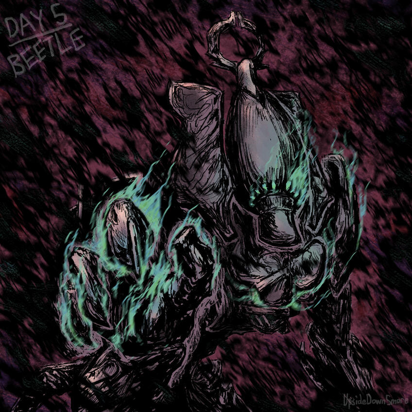 Day 5: Beetle