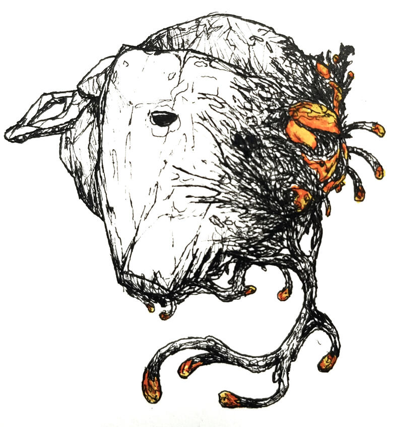 Day 5: Plague